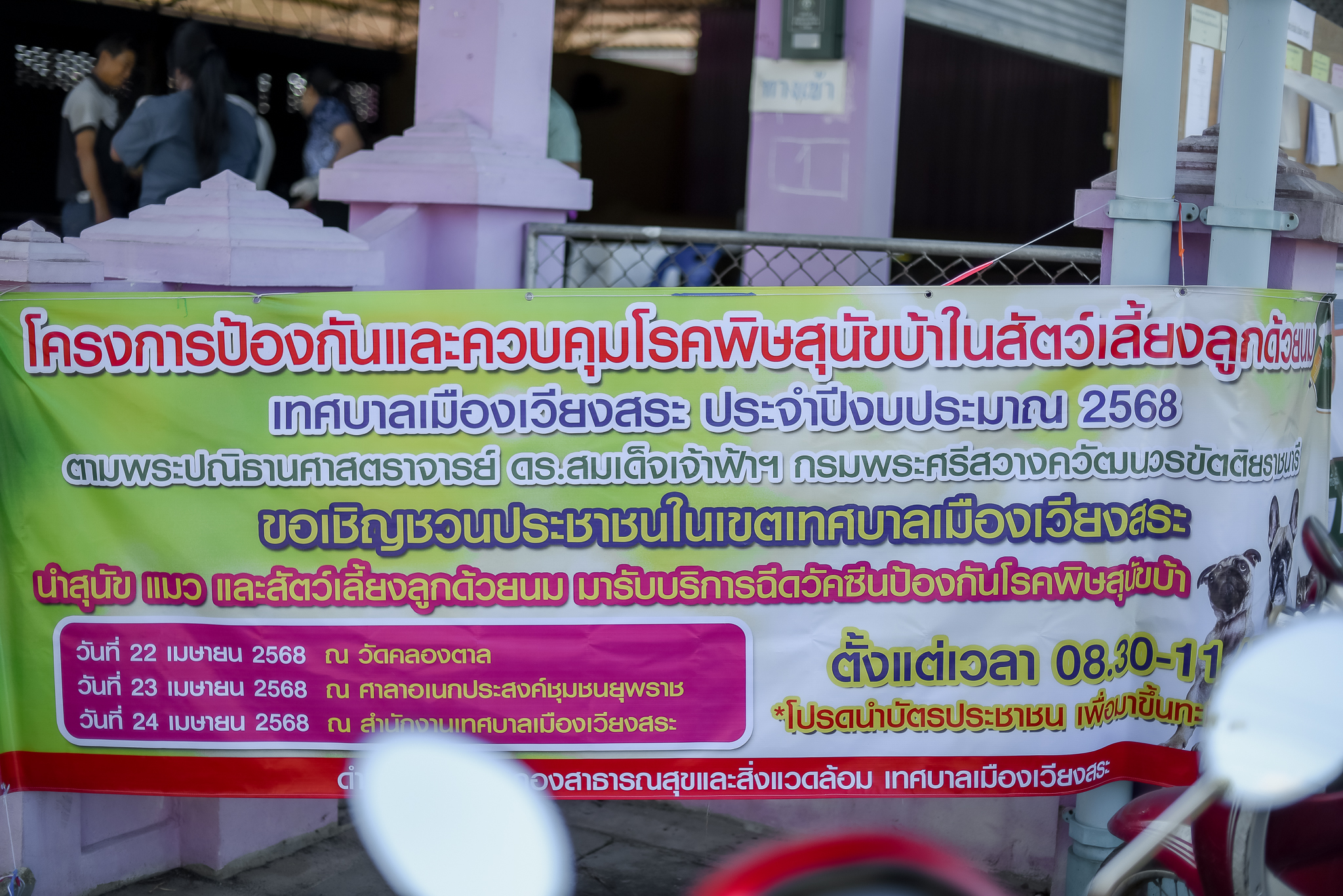 ขอเชิญชวนประชาชนในเขตเทศบาลเมืองเวียงสระ นำสุนัข แมว มารับบริการฉีดวัคซีนป้องกันโรคพิษสุนัขบ้า 
ตั้งแต่เวลา 08.30-11.45 น. วันที่22 เมษายน 2568 ณ วัดคลองตาล
วันที่23 เมษายน 2568 ณ ศาลาอเนกประสงค์ชุมชนยุพราช
วันที่24 เมษายน 2568 ณ สำนักงานเทศบาลเมืองเวียงสระ 
โปรดนำบัตรประชาชนเพื่อมาขึ้นทะเบียนสัตว์เลี้ยง