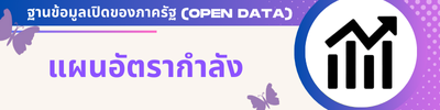 https://www.wiangsacity.go.th/front/menu/22/73